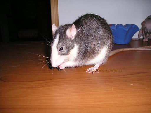 Akí se myje